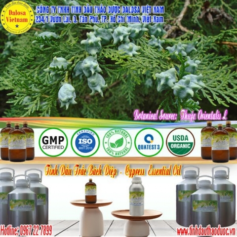 Tinh dầu Trắc Bách Diệp nguyên chất 1000ml