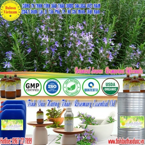 Tinh dầu Hương Thảo nguyên chất 1000ml