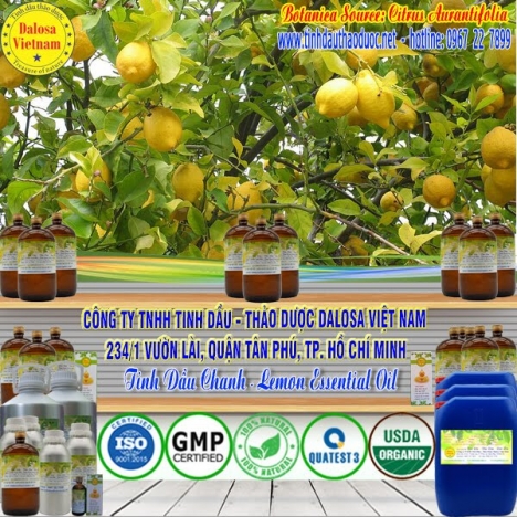 Tinh dầu Chanh Tươi nguyên chất 1000ml