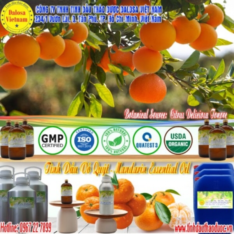 Tinh dầu Vỏ Quýt trị long đờm, chống say xe giá sỉ 1000ml