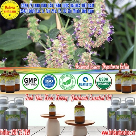 Tinh dầu Hoắc Hương giảm trầm cảm 1000ml