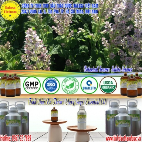 Tinh dầu Xô Thơm chống trầm cảm 1000ml