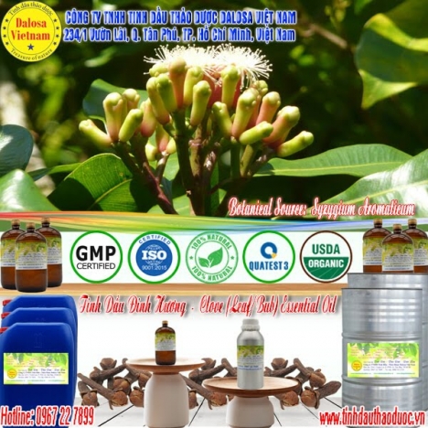 Tinh dầu Đinh Hương giúp giảm đau 1000ml