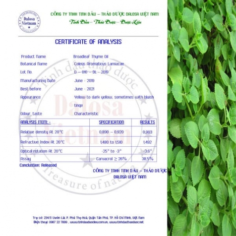 Tinh dầu Húng Chanh (Tần) nguyên chất 1000ml