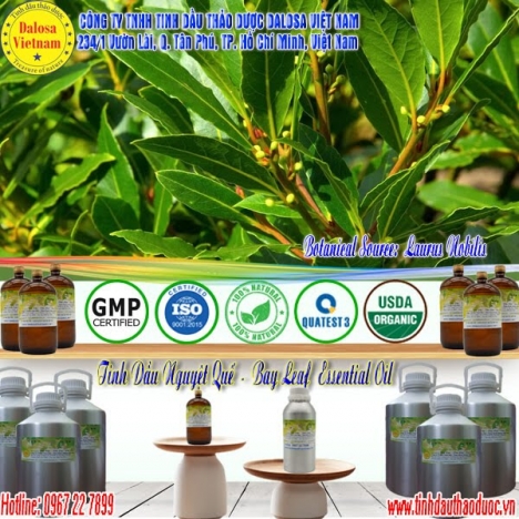 Tinh dầu Nguyệt Quế nguyên chất giá sì 1000ml