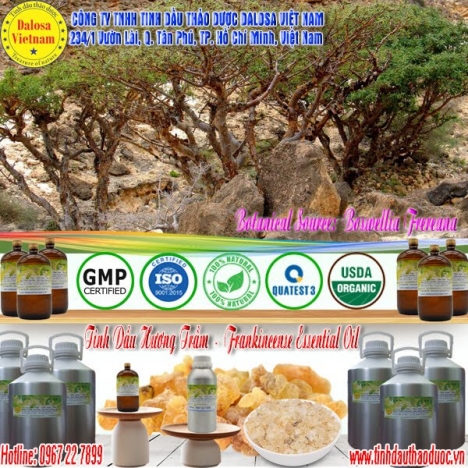 Tinh dầu Hương Trầm nguyên chất 1000ml