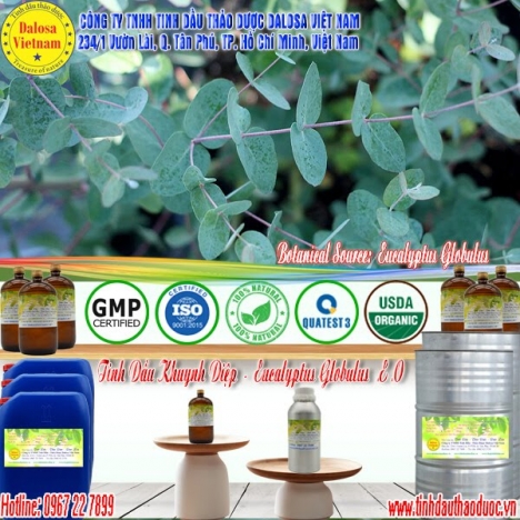 Tinh dầu Khuynh Diệp bảo vệ đường hô hấp 1000ml
