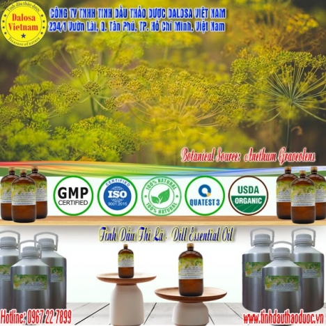 Tinh dầu Thì Là nguyên chất 1000ml