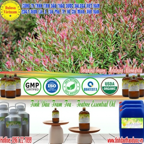 Tinh dầu Tràm Trà nguyên chất 1000ml