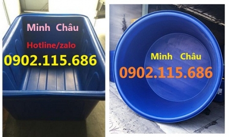 Thùng nhựa tròn nuôi cá, thùng nhựa hình chữ nhật nuôi cá, thùng nhựa nuôi cá mô hình,