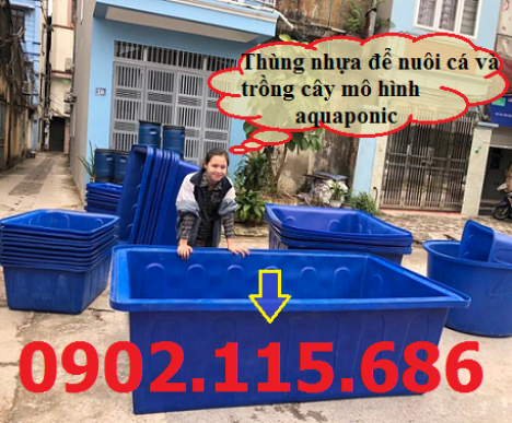 Thùng nhựa tròn nuôi cá, thùng nhựa hình chữ nhật nuôi cá, thùng nhựa nuôi cá mô hình,