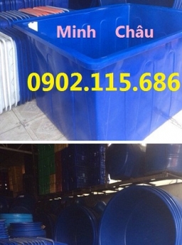 Thùng nhựa tròn nuôi cá, thùng nhựa hình chữ nhật nuôi cá, thùng nhựa nuôi cá mô hình,