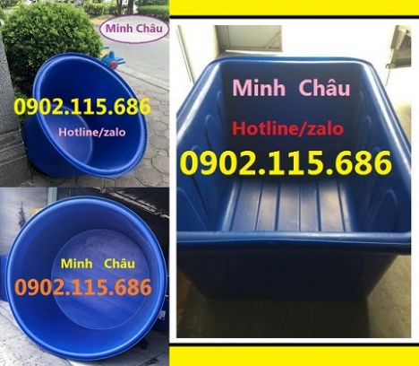 Thùng nhựa tròn nuôi cá, thùng nhựa hình chữ nhật nuôi cá, thùng nhựa nuôi cá mô hình,