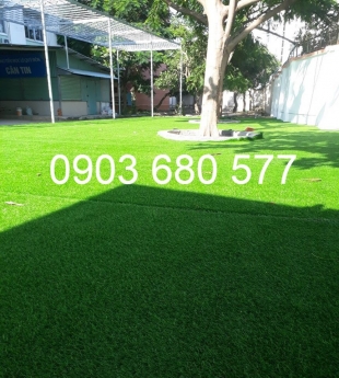Cỏ nhân tạo trang trí cho trường mầm non, sân bóng đá, sân golf