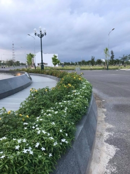 đất thổ cư trung tâm phan rí cửa. sổ hồng giá rẻ