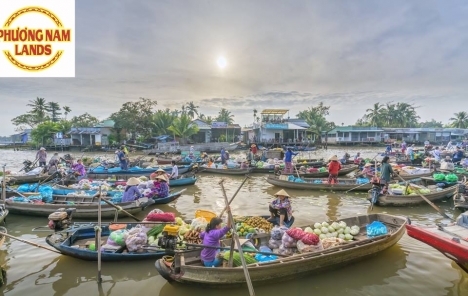 cần thơ đất vàng đã có sổ từng nền đang cực hot