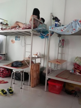 Giường tầng giá rẻ, thân thiện sức khỏe