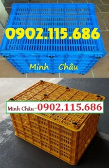 Sọt nhựa chở hàng, sọt nhựa giao hàng, thùng nhựa chở hàng, thùng nhựa giao hàng,