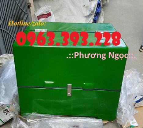 Thùng giao hàng gắn sau xe máy, thùng chở hàng nhựa composite