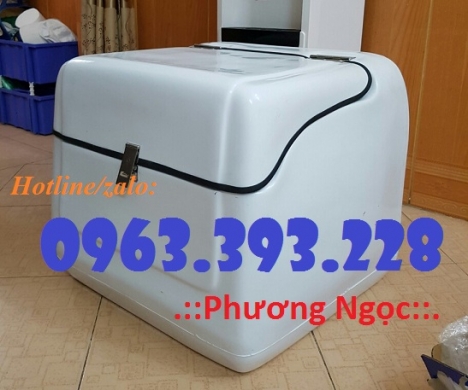 Thùng giao hàng gắn sau xe máy, thùng chở hàng nhựa composite