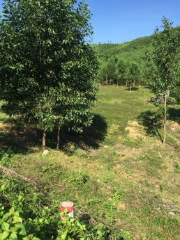 Bán lô đất đẹp 8.012m2 view suối, mặt tiền quốc lộ 27C, xã Cầu Bà, Khánh Vĩnh, Khánh Hoà