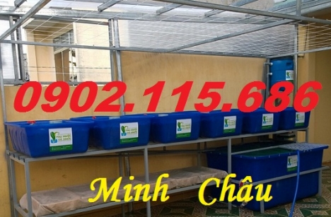 Thùng nhựa nuôi cá koi,thùng nhựa nuôi cá mô hình,thùng nhựa nuôi cá cảnh,thùng nhựa trồng rau,