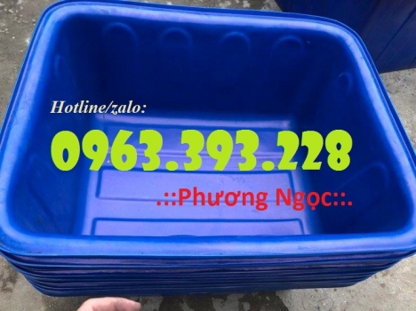Thùng nhựa dung tích lớn, thùng nhựa công nghiệp, thùng nuôi cá