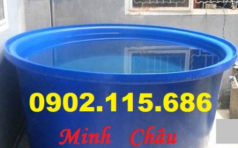 Thùng nhựa nuôi cá koi,thùng nhựa nuôi cá mô hình,thùng nhựa nuôi cá cảnh,thùng nhựa trồng rau,