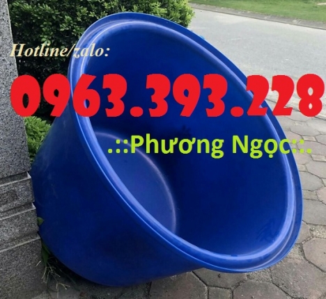Thùng nhựa dung tích lớn, thùng nhựa công nghiệp, thùng nuôi cá