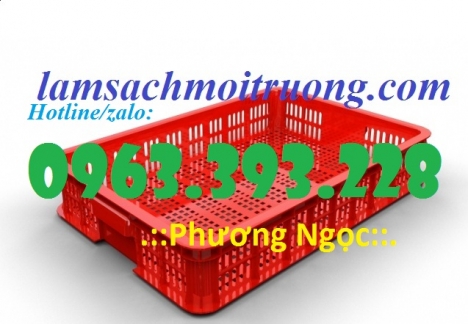 Sọt nhựa cao 10, sóng nhựa HS010, sọt trưng bày hàng hóa