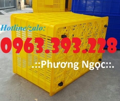 Sọt nhựa 5 bánh xe, sọt nhựa đựng trái cây, sọt nhựa kéo hàng