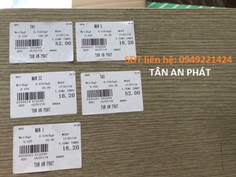 Cung cấp cân điện tử cho vựa hải sản tại Sa Đéc