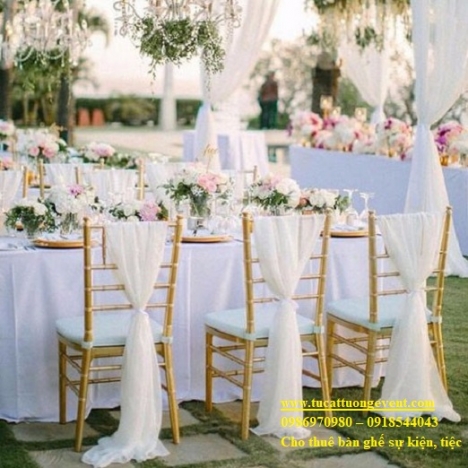 Cho Thuê Ghế Tiffany Hội Nghị Giá Rẻ 