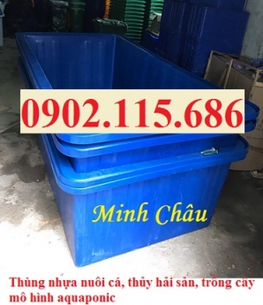 Thùng nhựa nuôi cá koi, thùng nhựa nuôi cá cảnh, thùng nhựa nuôi hải sản, thùng nhựa trồng rau,