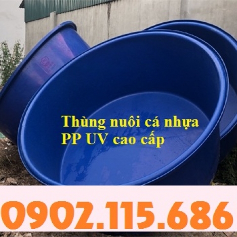 Thùng nhựa nuôi cá koi, thùng nhựa nuôi cá cảnh, thùng nhựa nuôi hải sản, thùng nhựa trồng rau,