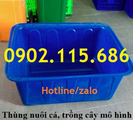 Thùng nhựa nuôi cá koi, thùng nhựa nuôi cá cảnh, thùng nhựa nuôi hải sản, thùng nhựa trồng rau,