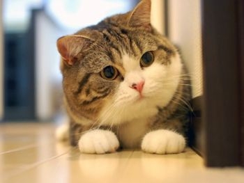 4 mẹo chơi poker dễ dàng dành thắng lợi nhất
