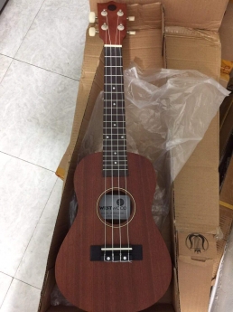 Bán đàn ukulele tại điện bàn quảng nam