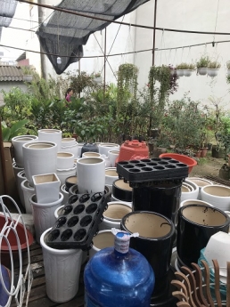 Gói thiết bị giá siêu tiết kiệm cho cửa hàng cây cảnh ở Hà Nội