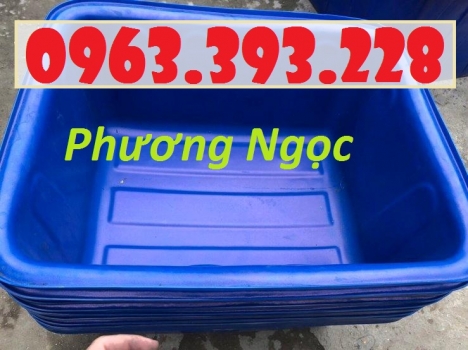 Thùng nhựa chữ nhật dung tích lớn, bồn nhựa nuôi cá