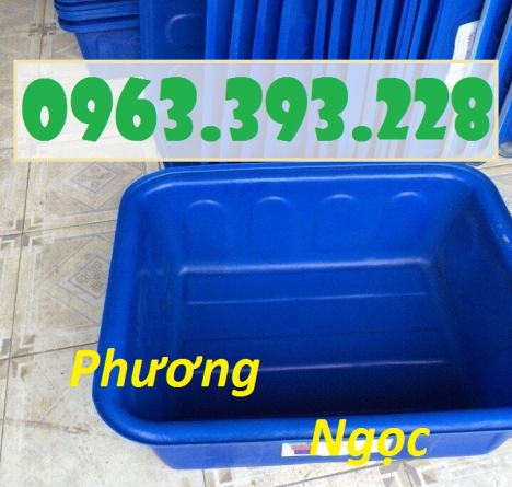 Thùng nhựa chữ nhật dung tích lớn, bồn nhựa nuôi cá
