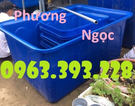 Thùng nhựa chữ nhật dung tích lớn, bồn nhựa nuôi cá