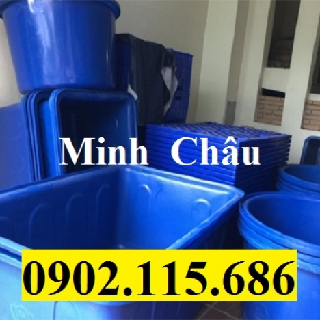 Thùng nhựa nuôi hải sản, thùng nhựa nuôi cá cảnh, thùng nhựa trồng cây to, thùng nhựa hình chữ nhật