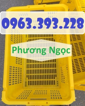 Sọt nhựa thanh long, Sóng nhựa HS011, Sọt quai sắt
