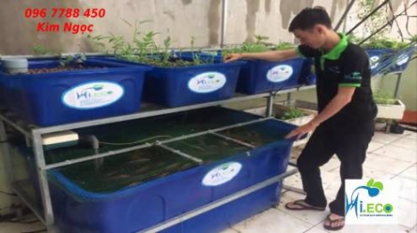 Thùng nhựa nuôi cá cảnh các loại dung tích giá rẻ