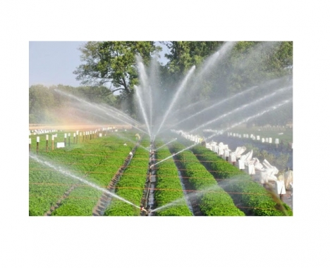 Hệ thống tưới tự động