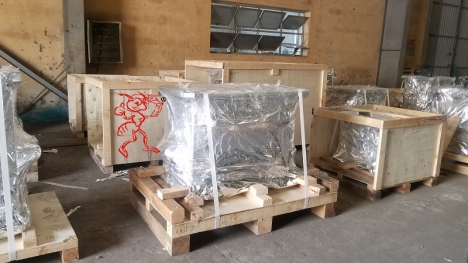 Các dịch vụ đóng gói chuyên nghiệp tại Kiến Đỏ