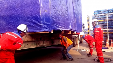 Các dịch vụ đóng gói chuyên nghiệp tại Kiến Đỏ