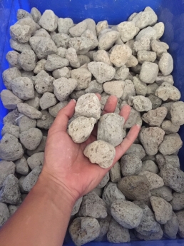 Bên mình chuyên cung cấp đá lông vũ ( nham thạch trắng , bọt núi lửa , đá thấm thuỷ )