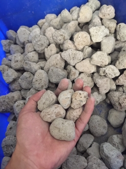 Bên mình chuyên cung cấp đá lông vũ ( nham thạch trắng , bọt núi lửa , đá thấm thuỷ )